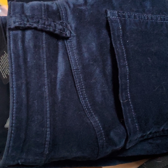 velvet J Brand Navy Velvet Skinny Pants - Picture 6 of 9